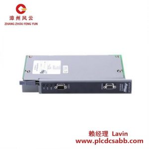 WOODHEAD SST-PFB-PLC ProfiBus扫描模块